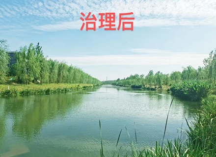 优德88(中国区)最新官方网站